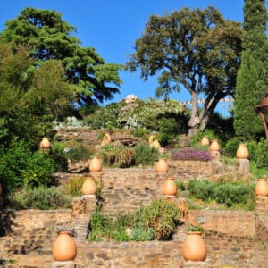 Une balade guidée au Domaine du Rayol pour découvrir, au fil des saisons, les secrets, formes et parfums des plantes méditerranéennes.