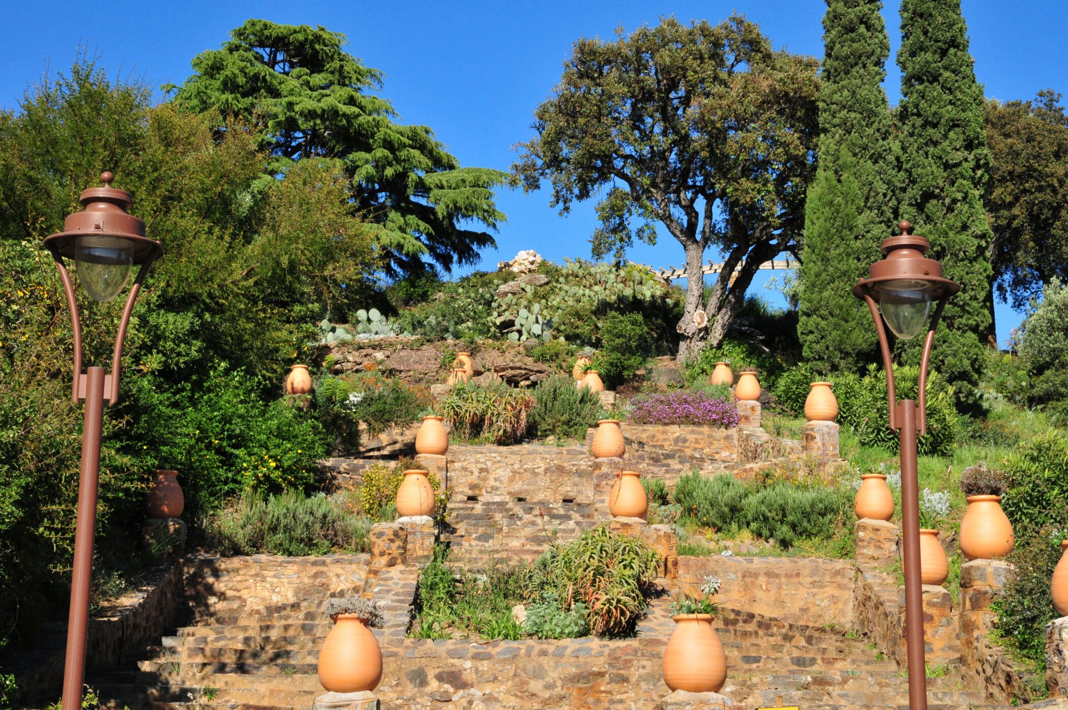 Une balade guidée au Domaine du Rayol pour découvrir, au fil des saisons, les secrets, formes et parfums des plantes méditerranéennes.