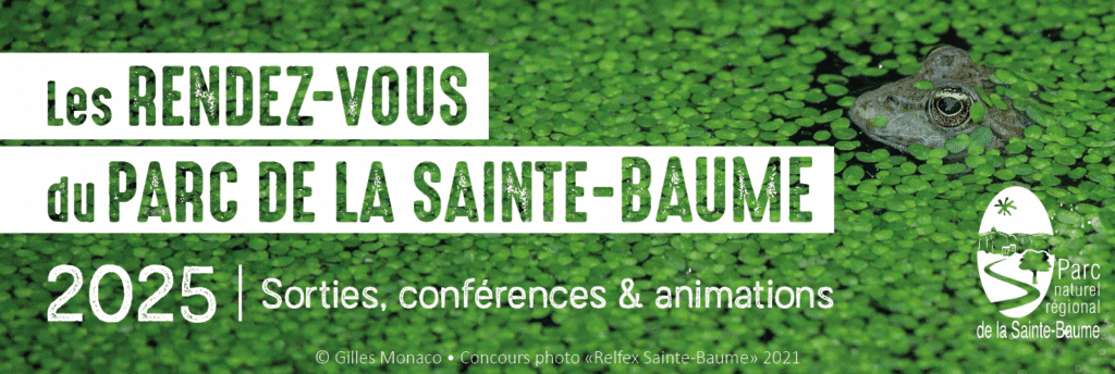 Que faire en novembre avec le Parc Naturel Régional de la Ste Baume ?? Bleu Tomate