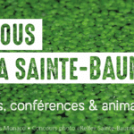 Que faire en novembre avec le Parc Naturel Régional de la Ste Baume ?? Bleu Tomate