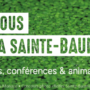 Que faire en novembre avec le Parc Naturel Régional de la Ste Baume ?? Bleu Tomate