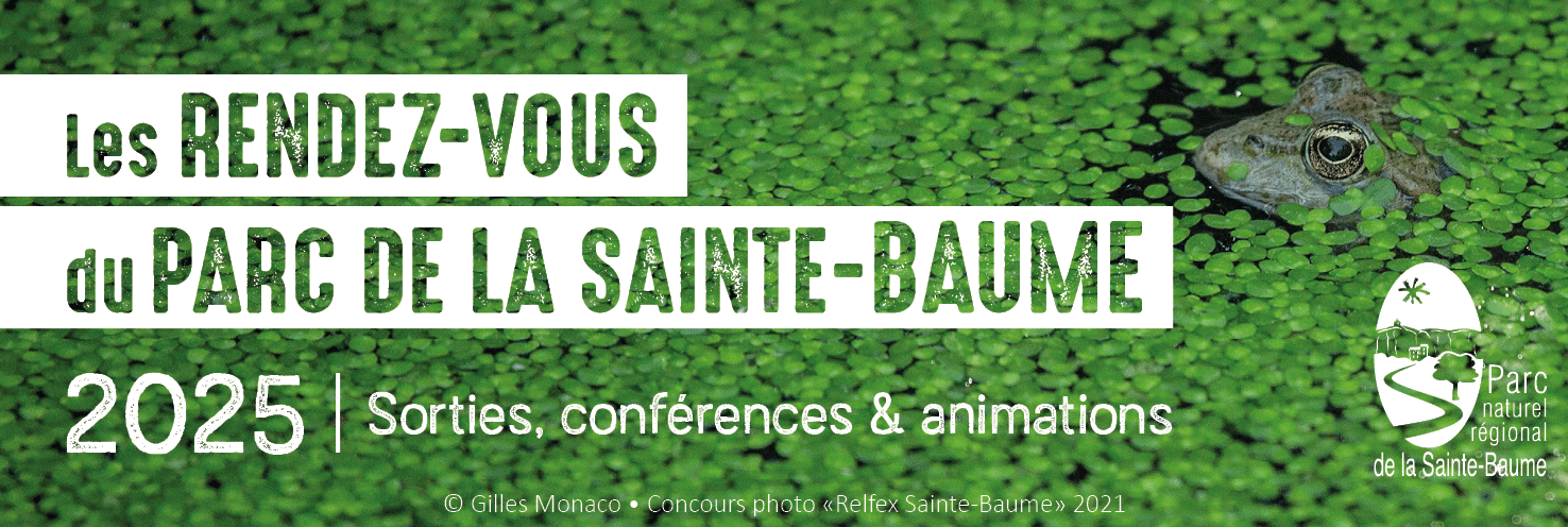 Que faire en novembre avec le Parc Naturel Régional de la Ste Baume ?? Bleu Tomate