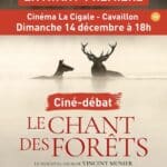 "Le chant des forêts", le nouveau film de Vincent Munier projeté à Cavaillon Bleu Tomate
