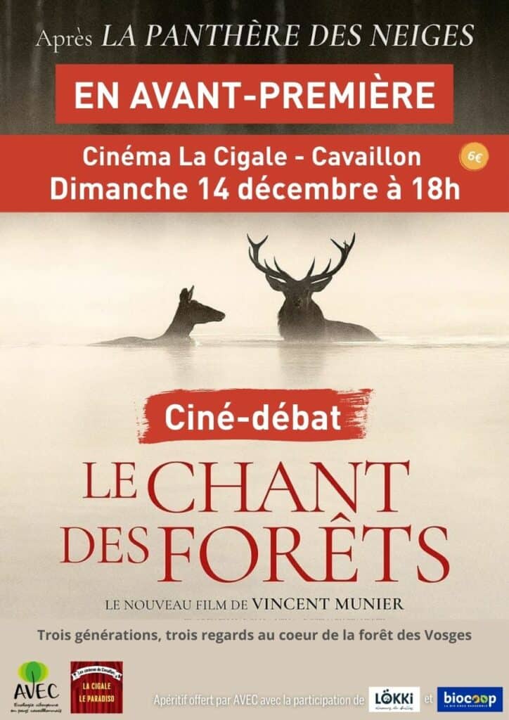 "Le chant des forêts", le nouveau film de Vincent Munier projeté à Cavaillon Bleu Tomate