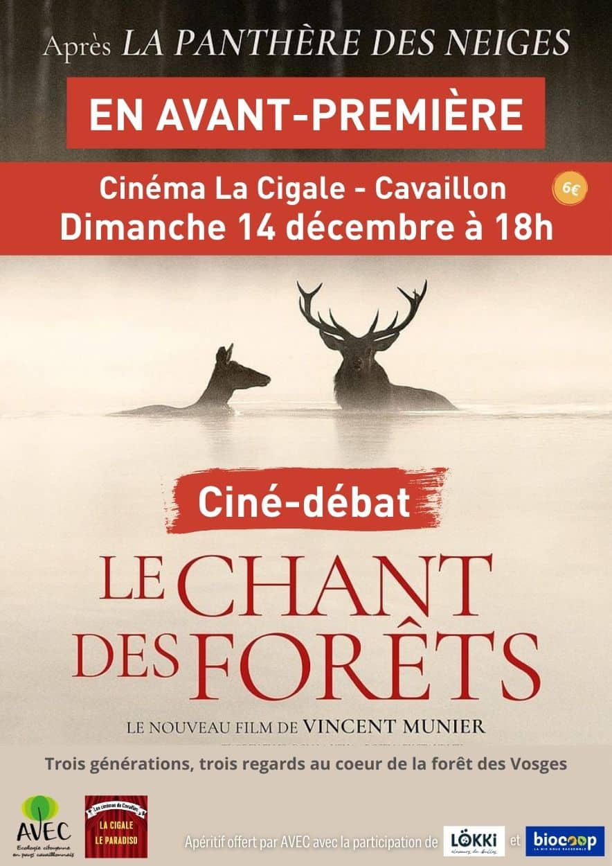 "Le chant des forêts", le nouveau film de Vincent Munier projeté à Cavaillon Bleu Tomate