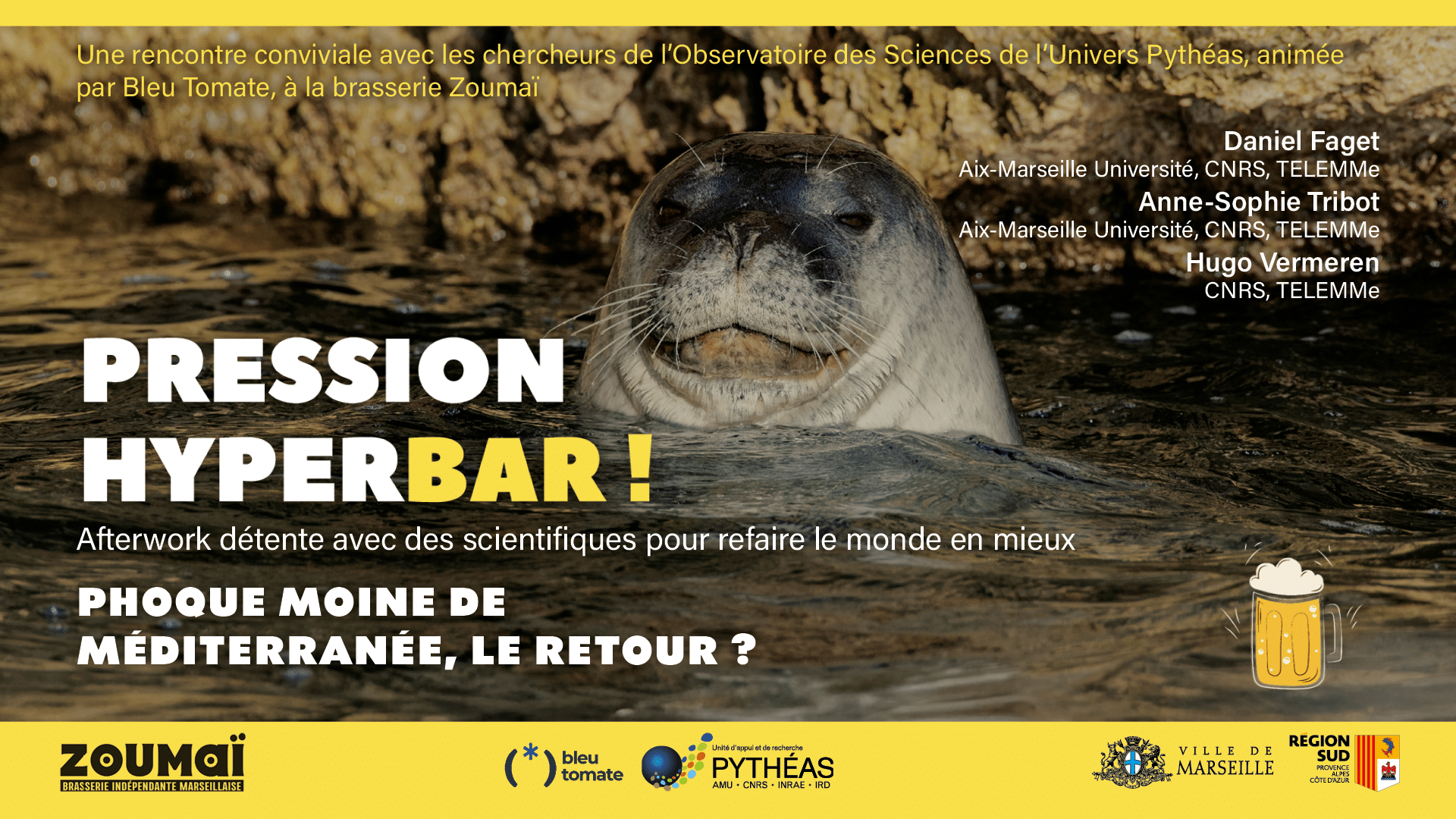 PRESSION HYPERBAR ! Phoque moine de Méditerranée, le retour ?