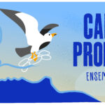 Opération Calanques Propres Bleu Tomate Opération Calanques Propres Bleu Tomate