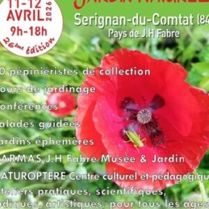 Fête "Plantes rares et Jardin naturel" à Sérignan (84) Bleu Tomate Fête "Plantes rares et Jardin naturel" à Sérignan (84) Bleu Tomate