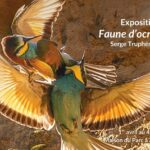 Exposition photos "Faunes d'Ocre" à Apt Bleu Tomate Exposition photos "Faunes d'Ocre" à Apt Bleu Tomate