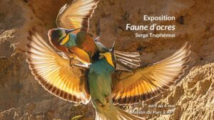 Exposition photos "Faunes d'Ocre" à Apt Bleu Tomate Exposition photos "Faunes d'Ocre" à Apt Bleu Tomate