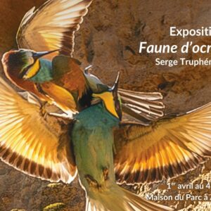 Exposition photos "Faunes d'Ocre" à Apt Bleu Tomate Exposition photos "Faunes d'Ocre" à Apt Bleu Tomate