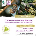 Conférence "Lutter contre le frelon asiatique" Bleu Tomate affiche annonce conférence "lutter contre frelon asiatique