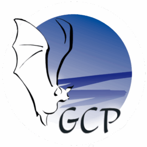 Soirée ciné-soupe autour des chauve-souris Bleu Tomate logo Groupe chiroptères de Provence