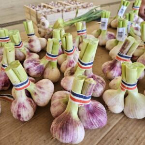 On fête l'aïl nouveau à Piolenc (84) ! Bleu Tomate l'ail frais de Piolenc
