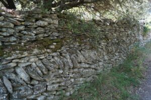 Découvrir la biodiversité des murs en pierre sèche Bleu Tomate mur de pierre sèche