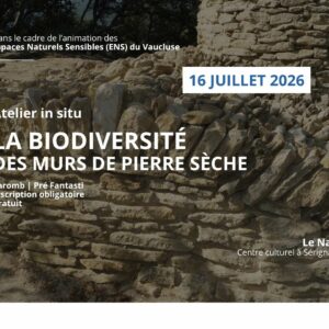 Découvrir la biodiversité des murs en pierre sèche Bleu Tomate AFFICHE ATELIER BIODIVERSITE MURS PIERRE SECHE