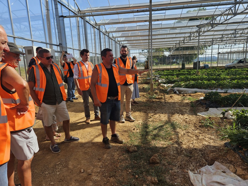 Sous les panneaux solaires, à l’aise les fraises ? Bleu Tomate Inauguration de la serre agrivoltaique à St Maximin-la-Sainte-Baume