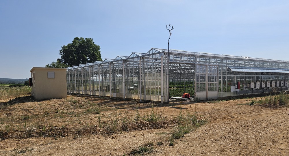 Sous les panneaux solaires, à l’aise les fraises ? Bleu Tomate le poste, la serre et les onduleurs
