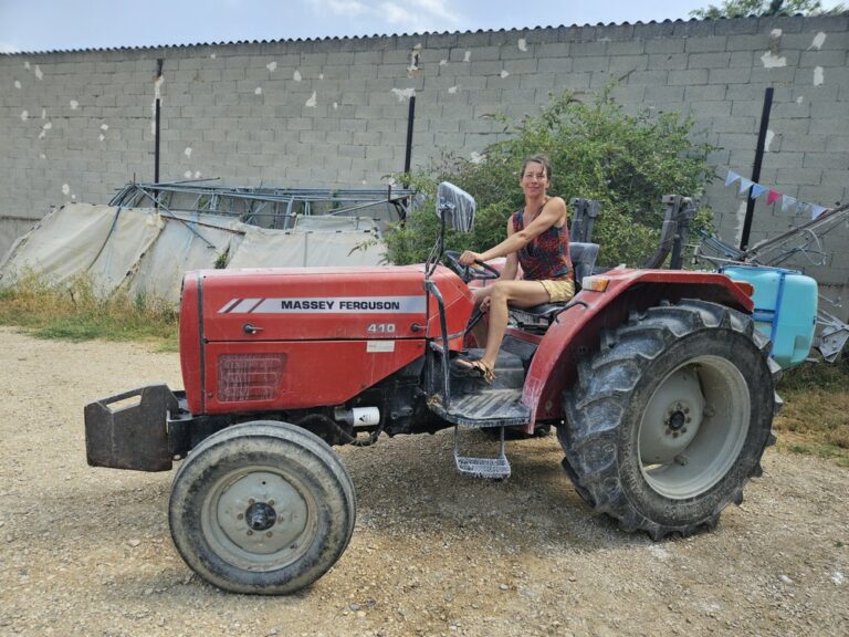 La Laiterie Marseillaise, fromagerie urbaine, bio et responsable Bleu Tomate Solange Follet, maraîchère bio dans le Vaucluse