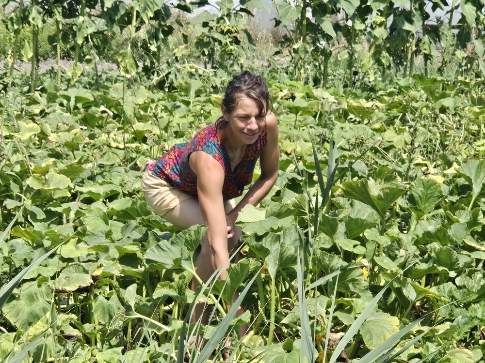 Solange Follet, « paysanne de famille » Bleu Tomate la maraîchère dans le champ