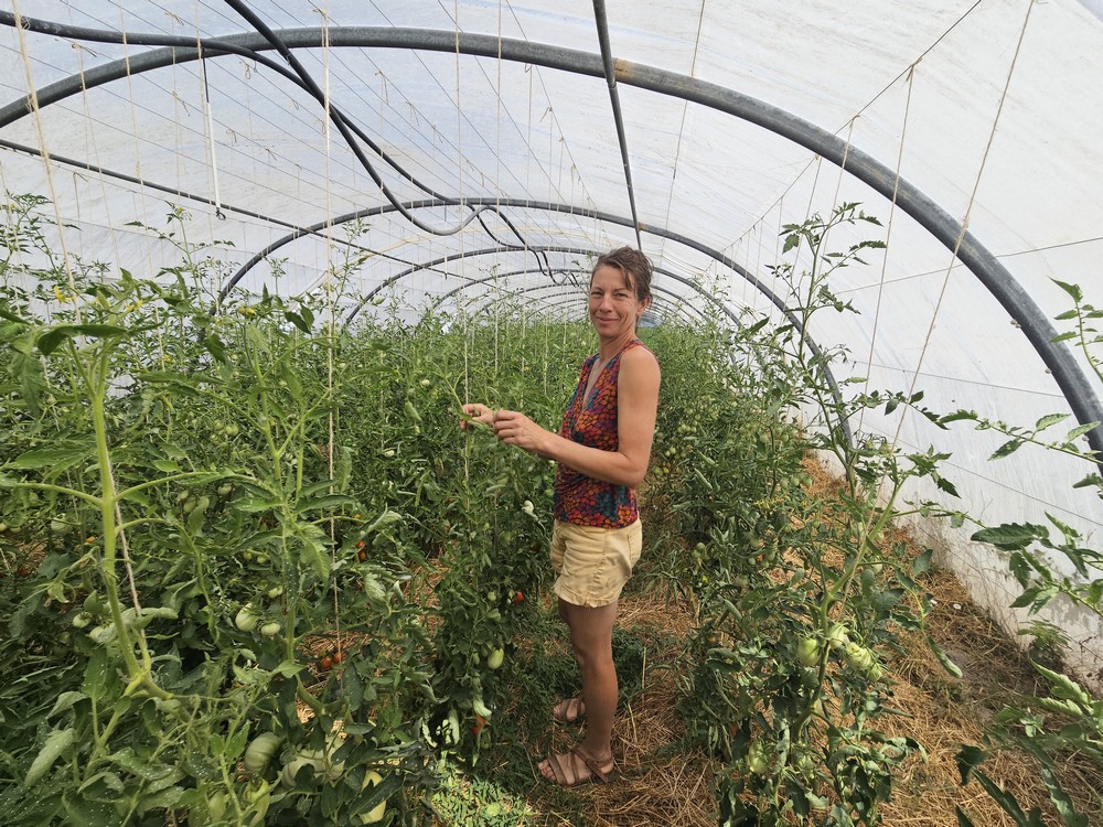 Solange Follet, « paysanne de famille » Bleu Tomate Solange Follet dans une de ses serres