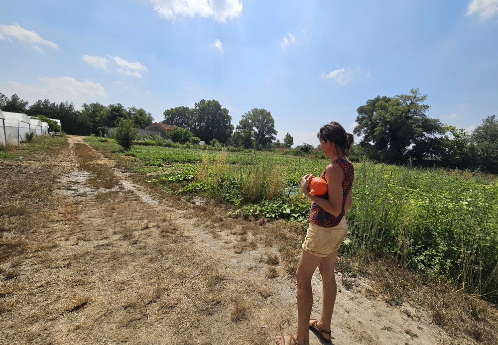 Solange Follet, « paysanne de famille » Bleu Tomate la ferme de la Grande Bastide à Villelaure (84)
