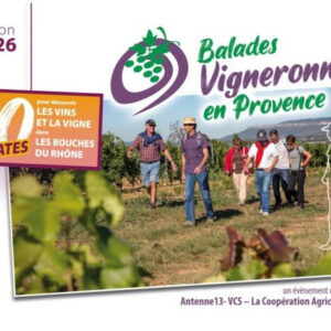 Balade vigneronne en Provence Bleu Tomate Balade vigneronne en Provence Bleu Tomate