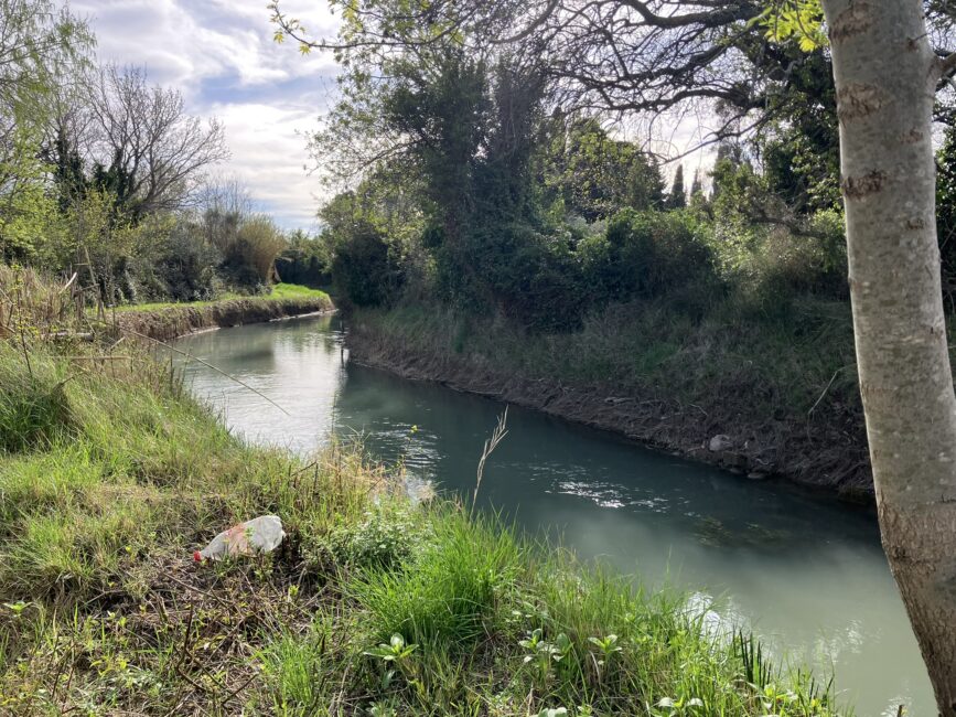 L’eau, source de nouvelles approches Bleu Tomate L’eau, source de nouvelles approches Bleu Tomate