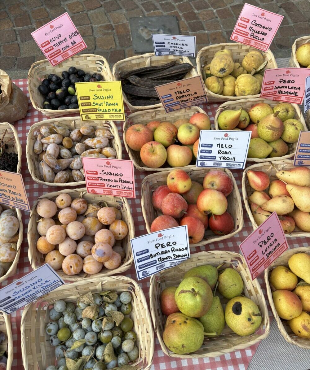 Terra Madre 2026 : le RDV mondial des communautés de l’alimentation bonne, propre et juste Bleu Tomate l'arche du goût au salon Terra Madre