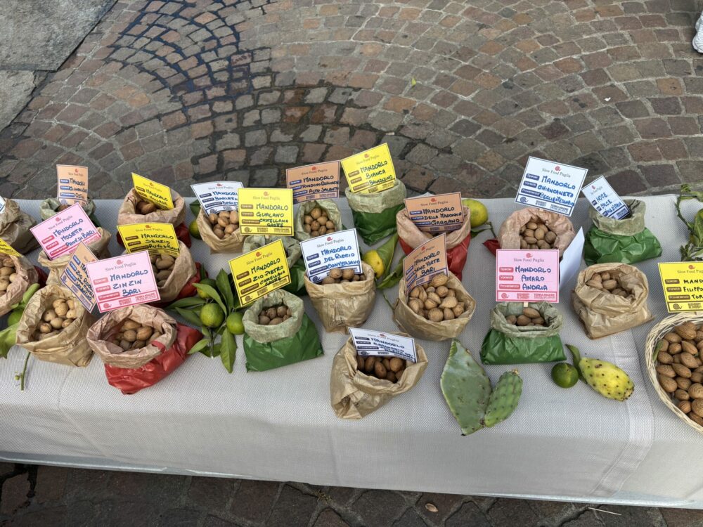 Terra Madre 2026 : le RDV mondial des communautés de l’alimentation bonne, propre et juste Bleu Tomate Terra Madre 2026 : le RDV mondial des communautés de l’alimentation bonne, propre et juste Bleu Tomate